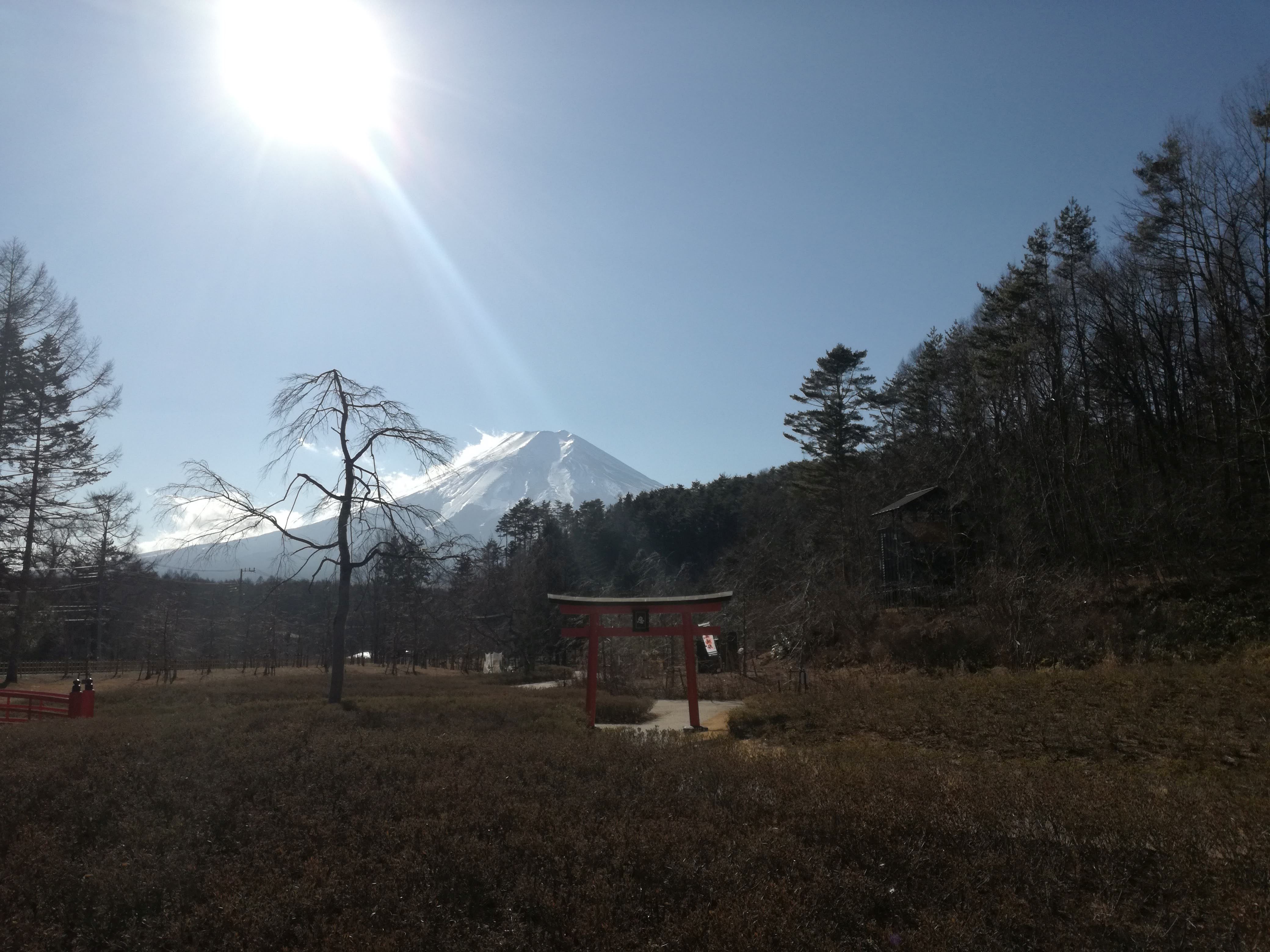 山梨に移住したい 移住先の決め方ステップ 初心者向け やまなしファン