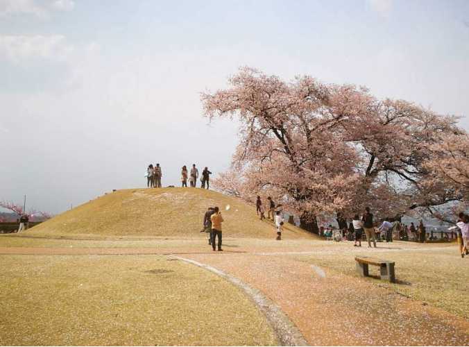 年 笛吹市 桃源郷春まつり 桜 桃のお花見は絶景 In 八代ふるさと公園 やまなしファン