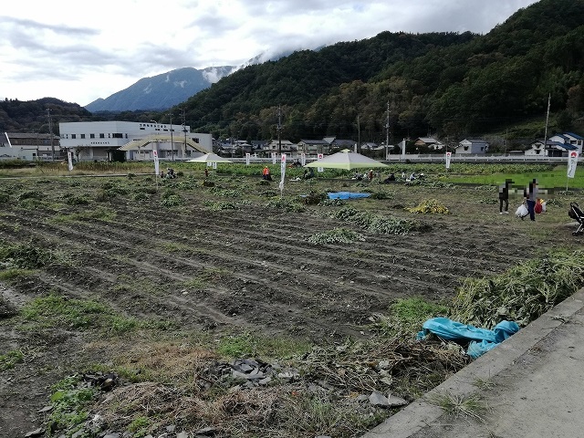 あけぼの大豆収穫体験の畑