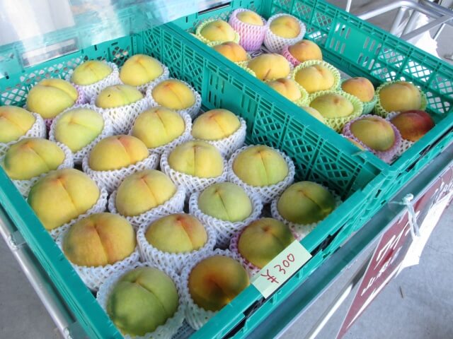 山梨の共選所で桃を買う