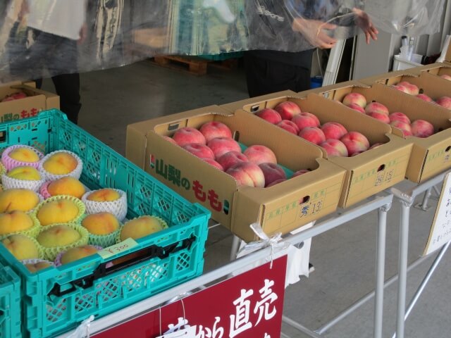 山梨の共選所で桃を買う