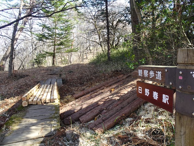 オオムラサキセンター　自然散策路