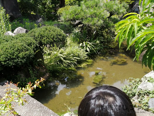Katsunuma縁側茶房　お庭