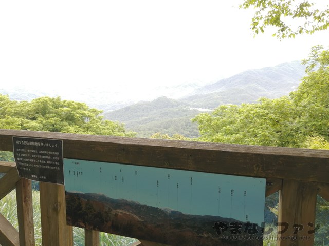 武田の杜　展望台からの景色