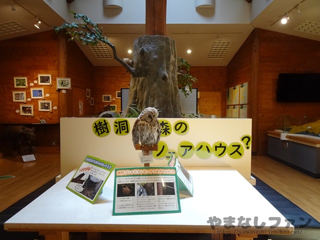 エコパ伊奈ヶ湖　森林科学館