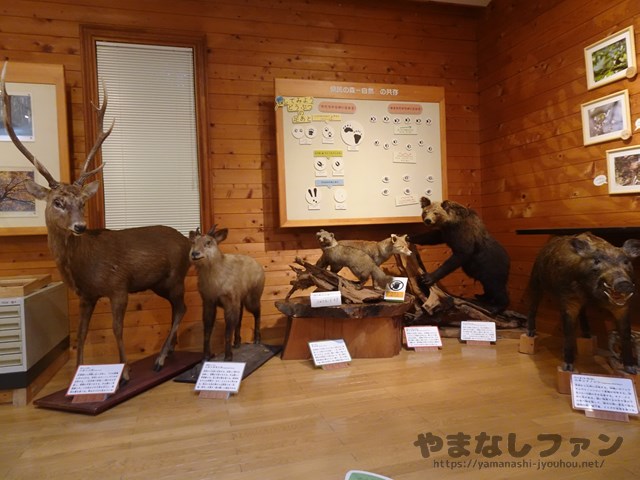 エコパ伊奈ヶ湖　森林科学館